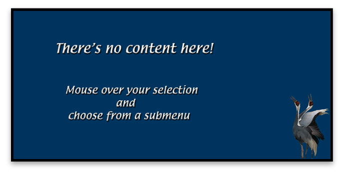 stacks_image_F961A5B5-1C01-4A50-9116-4DCBCC8A815F